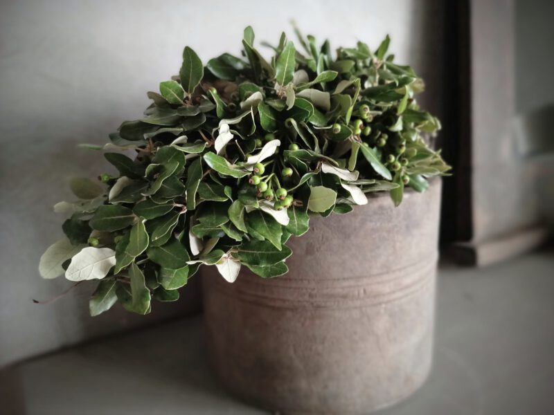Houten pot - Afbeelding 2