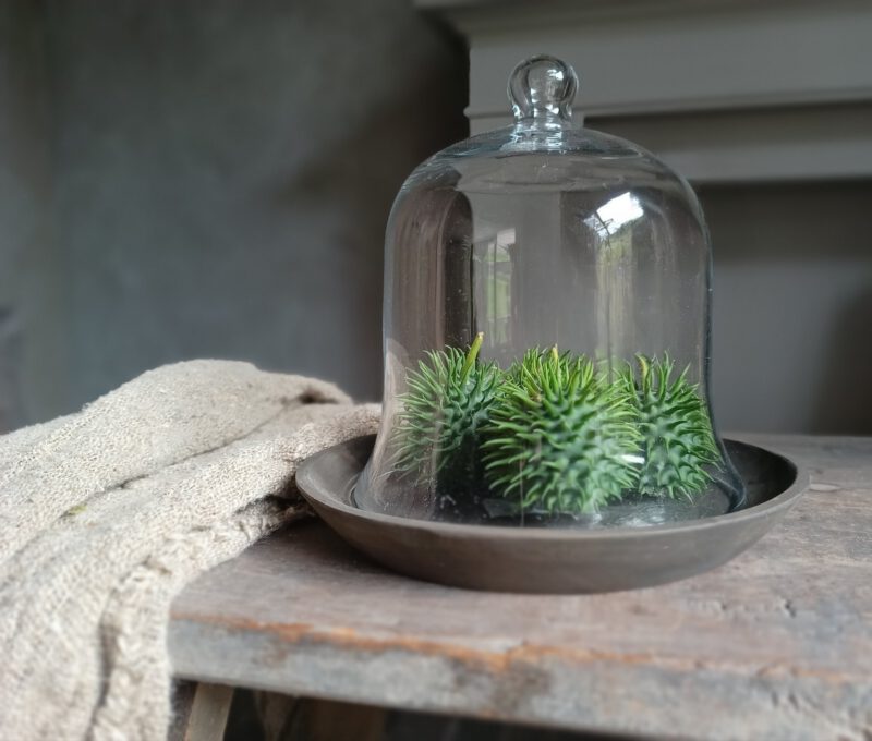 Set glazen stolp met houten bord
