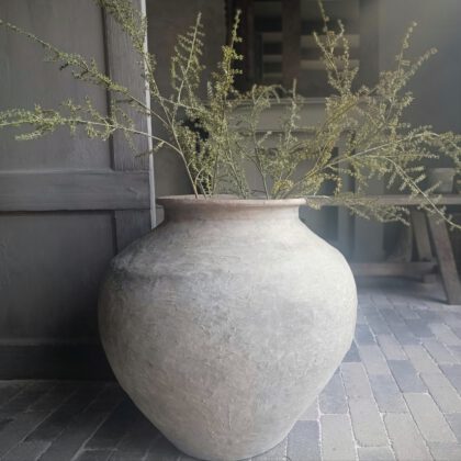 Kunst asparagus tak L