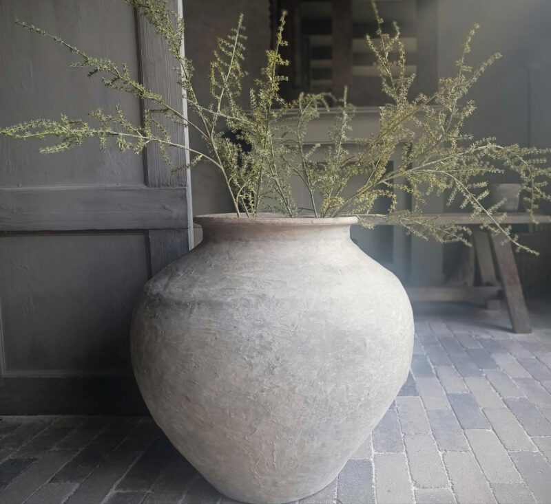 Kunst asparagus tak L