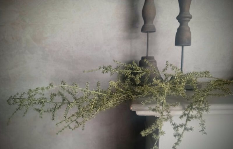 Kunst asparagus tak L - Afbeelding 2