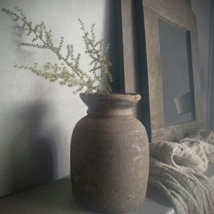 Kunst asparagus tak S