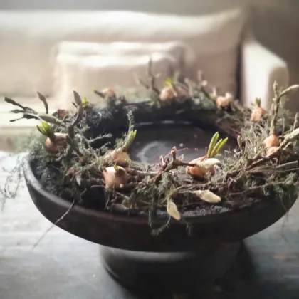 Plateau krans met bolletjes