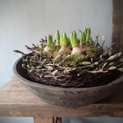 Groen taartje met magnolia en bolletjes