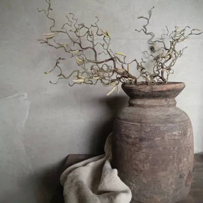 Kunst tak kronkel hazelaar