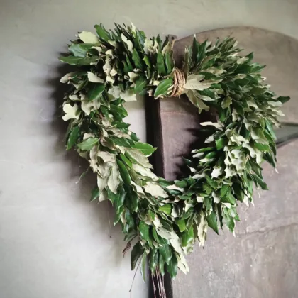 Hart steeneik maat S