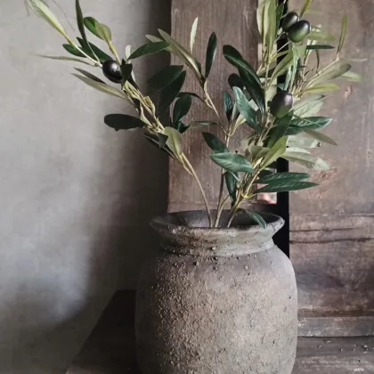 Sobere pot met zijde olijfboompje S