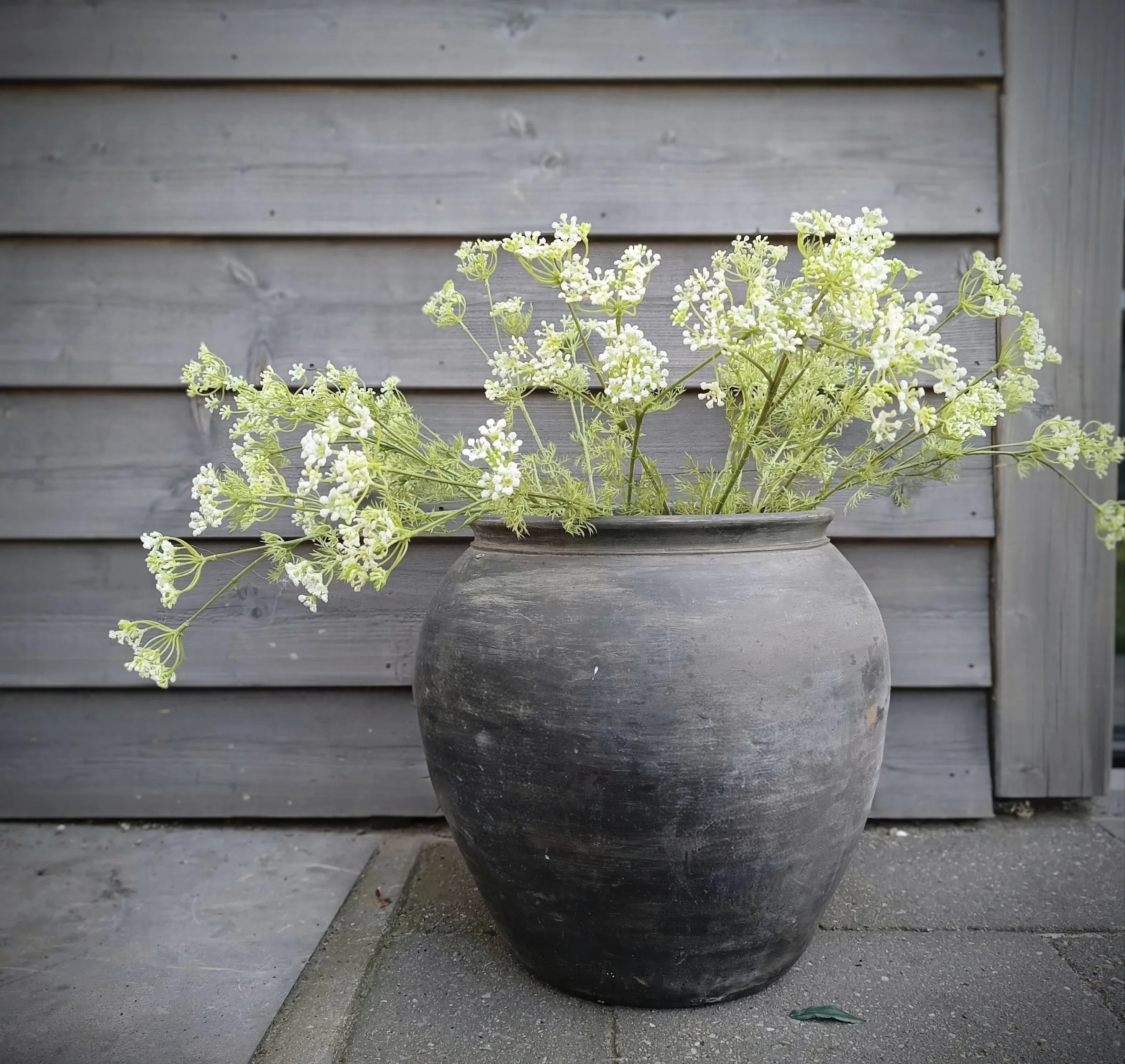 Kunst dille/fluitenkruid tak - Afbeelding 2