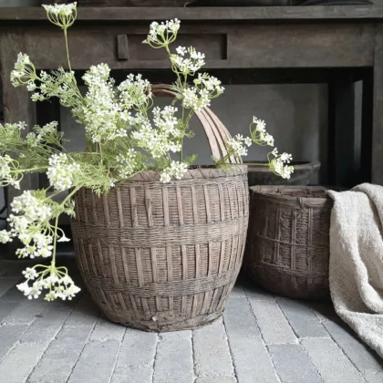 Kunst dille/fluitenkruid tak